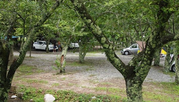 道志村　観光農園キャンプ場